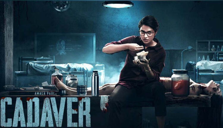 Cadaver-review
